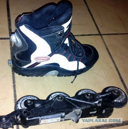 Последствия аномально теплой погоды в Москве