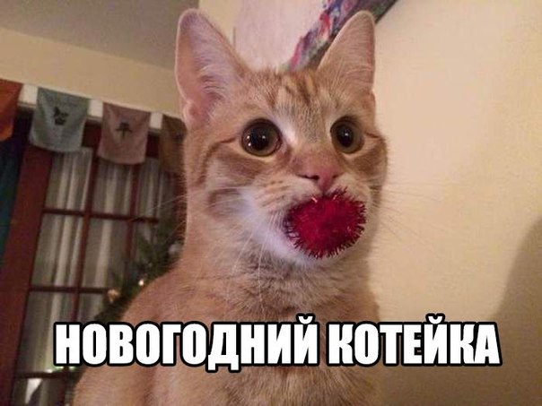 Разные картинки