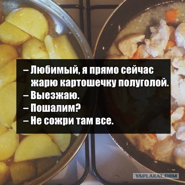Подборка картинок из сети