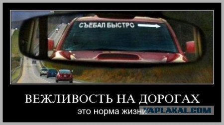 Что обычно водители пишут на своих автомобилях?