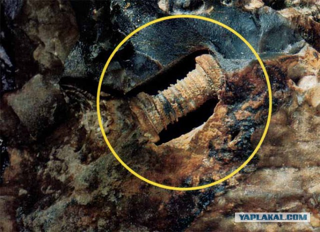 Кто жил на ЭТОЙ планете до нас?