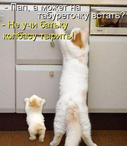 Мохнатые беспредельщики
