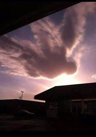 Подборка картинок