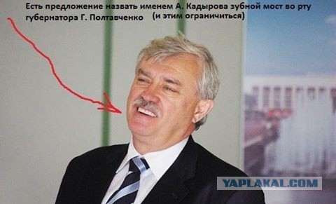 Подборка прикольных и веселых фото