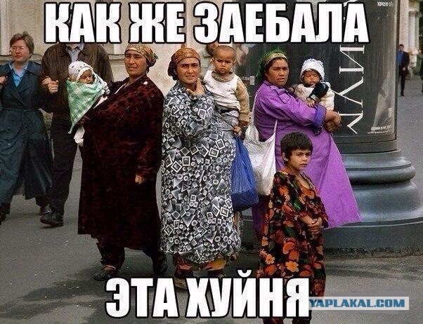 Арестованы члены цыганской банды, похитившие у пенсионеров более 50 млн рублей