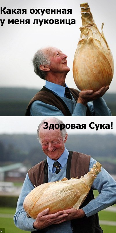 Порция позитива на вторник
