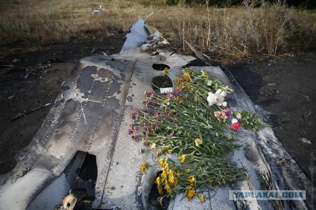 Расследование крушения Boeing MH17 подтвердило вину ВС Украины в трагедии