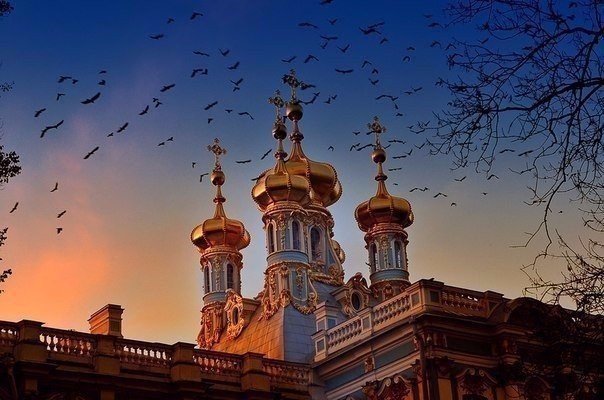 Подборка картинок