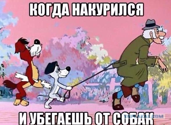 Средней упоротости пост