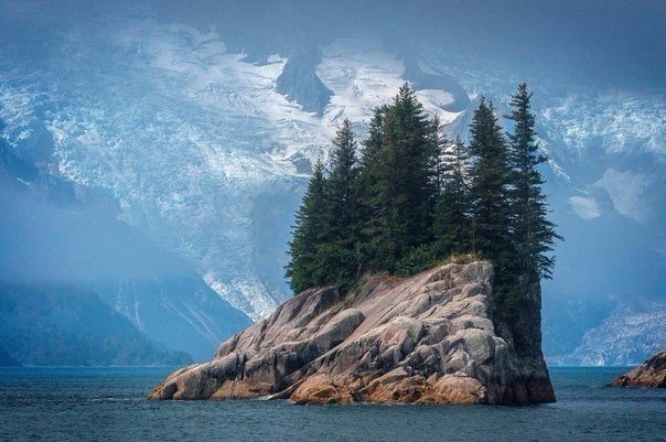 Моменты, запечатлённые на фото и просто позитив 5