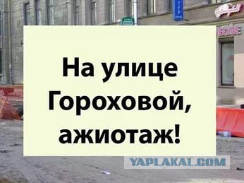 На улице гороховой…" а. Протесты 31 января 2021 в санкт петербурге. Гороховой ажиотаж. На улице гороховой ажиотаж. Розенбаум на улице гороховой.