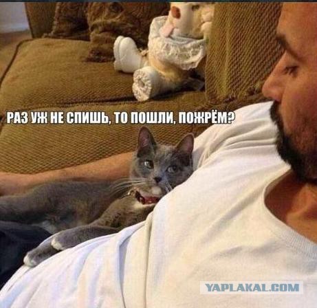 Я - РСП, ну почти