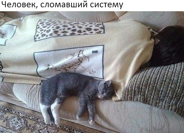 Смешные комментарии из социальных сетей 03.11.2017