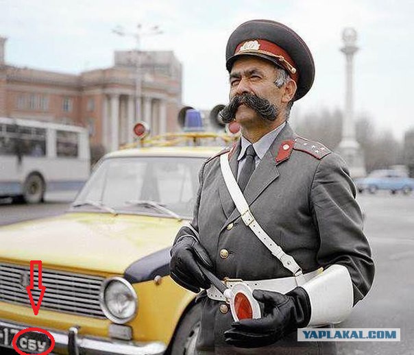 Кого только не встретишь по дороге домой