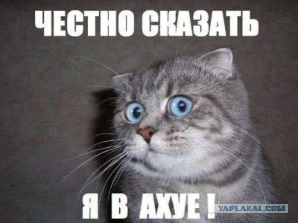 Проверка.