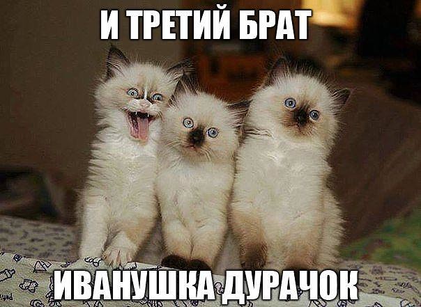 Ударная доза тупежа и деградации