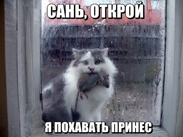 Немного милоты