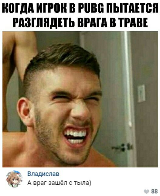 Немного картинок в этот вторник