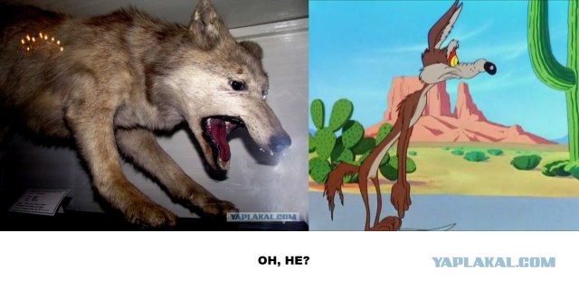 Зоопарк чучел
