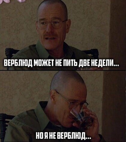 Анекдоты, истории и картинки с надписями