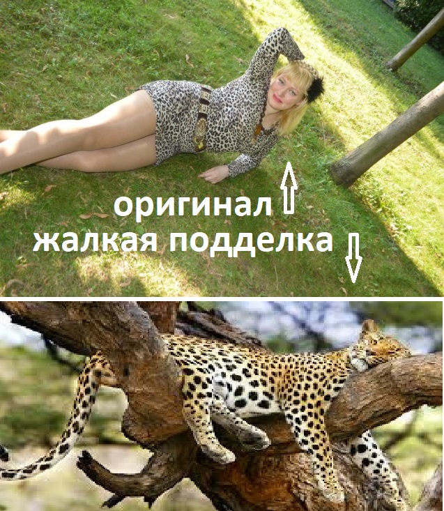 Слишком дикая, чтобы жить, слишком редкая, чтобы сдохнуть