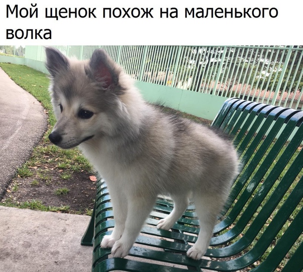 Немного картинок для настроения 18.01.20