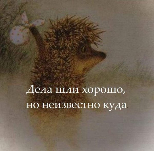 Кто мы на форумах?