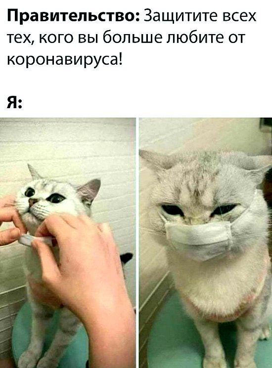 50 невеселых карантинок