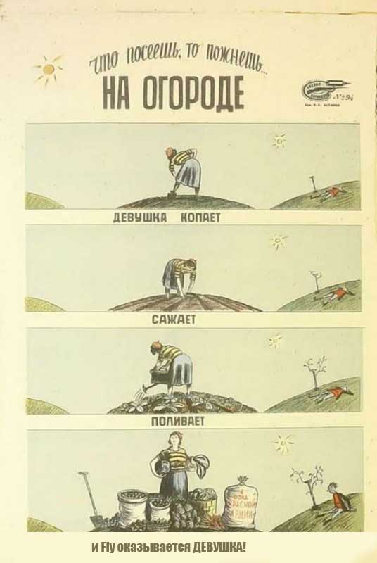 На огороде