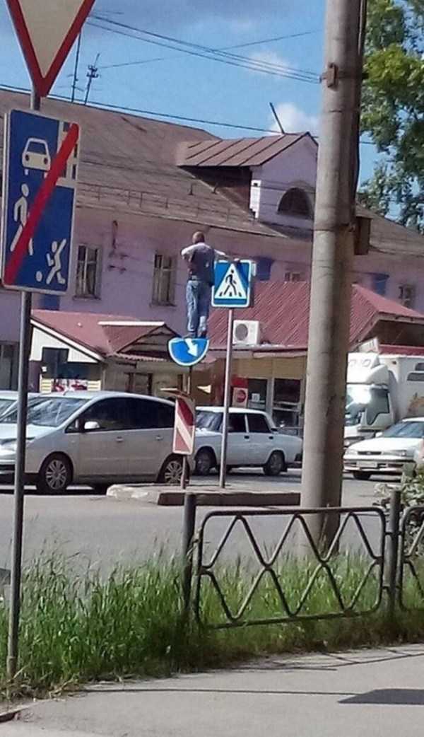 Дурдом