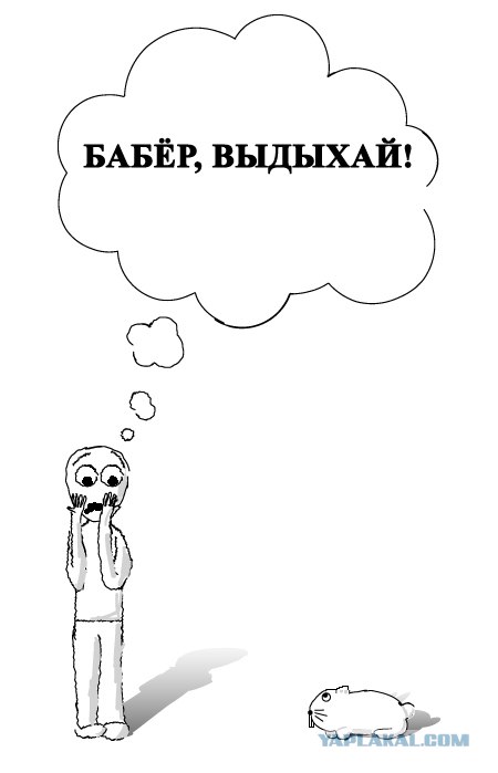 Фотожаба: Я и зайка