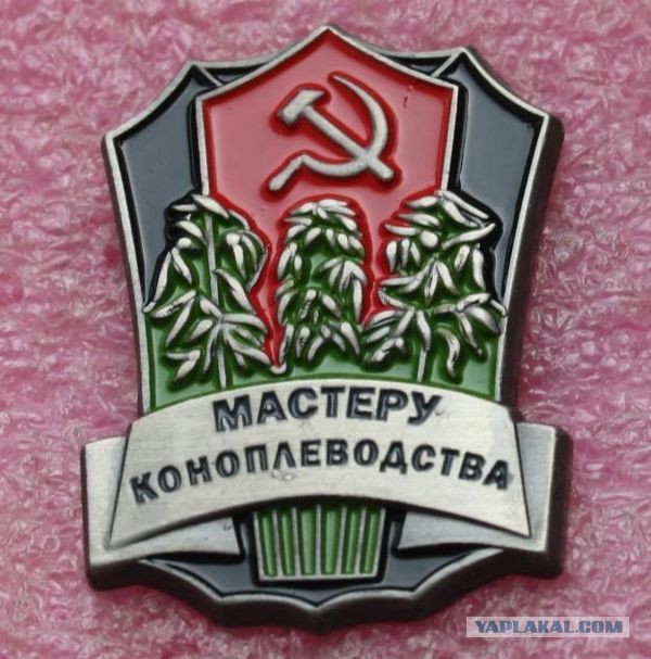 Джеймс Белуши на своей конопляной ферме