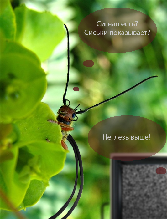 Букашка