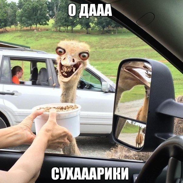 Картинки разные 08.10.2020