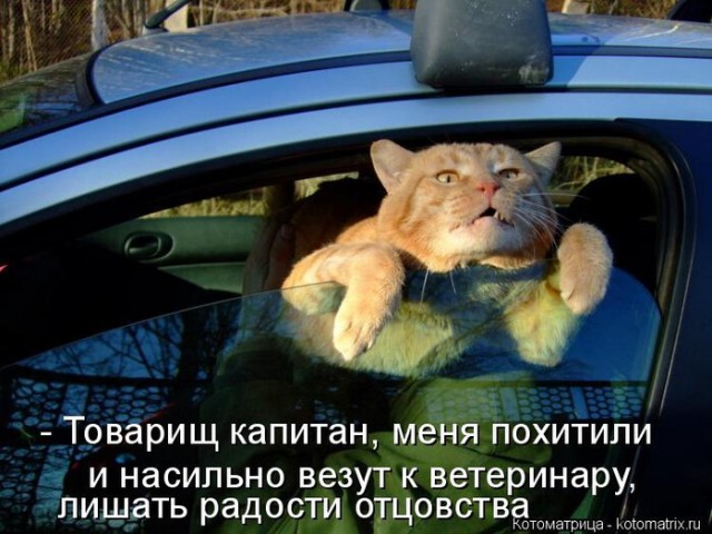 Старая жена хорошо, а новая - лучше?