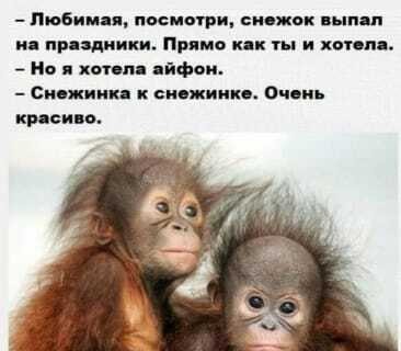 Юмор в картинках  22.12.20