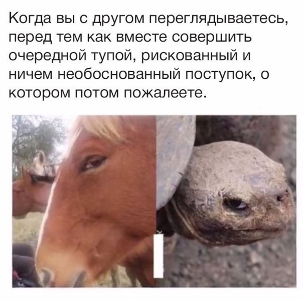 Картинки 11.02