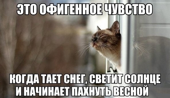 Так себе картинки 16.02.21