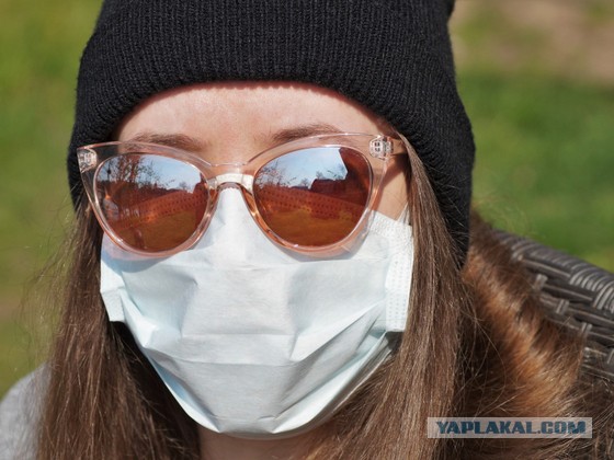 В Швейцарии введут запрет на паранджу