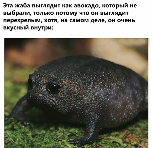 Денег нет, но вы держитесь. Как начать жить, а не выживать... Нищета народа - позор для страны!