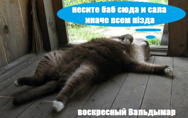 ШутЯПки от tubdoc(a) на ДР ресурса
