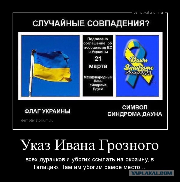 Харьковчанку, назвавшую марш вышиванок «парадом быдла», уволили с работы