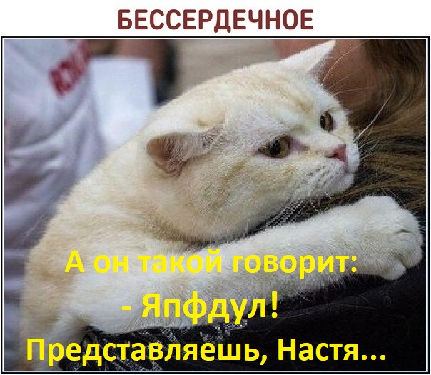 Одно дело делаем