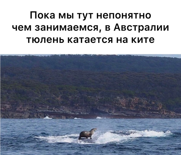 Так себе картинки 15.08.21