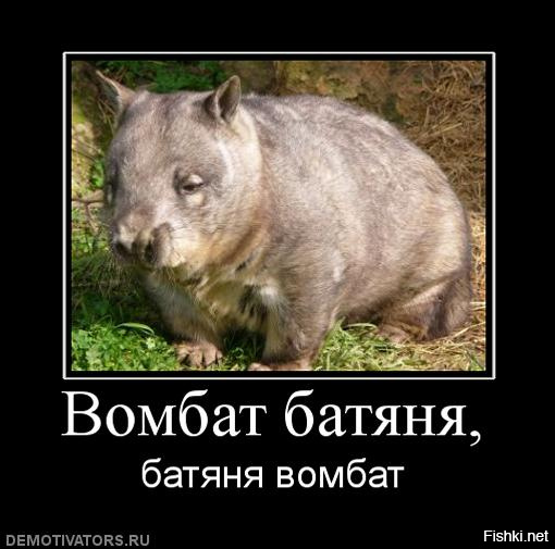 25 популярных заблуждений, которые вам внушали всю жизнь