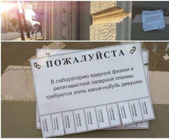 Картинки и мемы