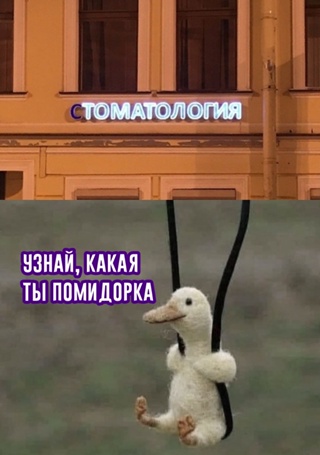 Картинки и мемы для настроения - 21