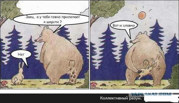 Кубы летние пятничные