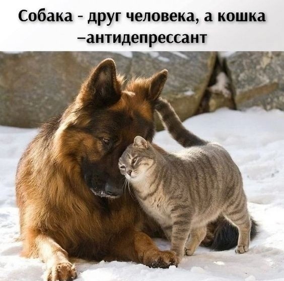 Так себе картинки 03.11.22