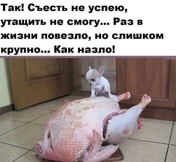 Так себе картинки 25.12.22